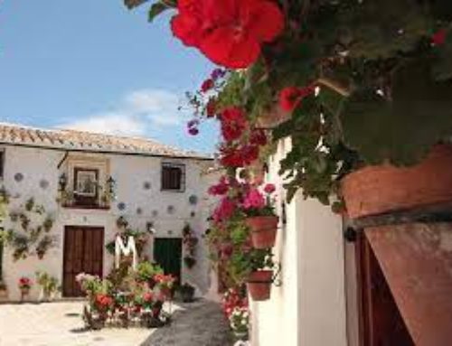 Andalusia: pobles florits i paisatges d’oliveres
